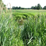 Strefa Kampinos