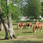 Strefa Kampinos *