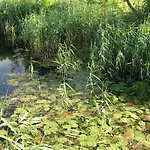 Strefa Kampinos