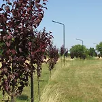 Lodge Strefa Kampinos *