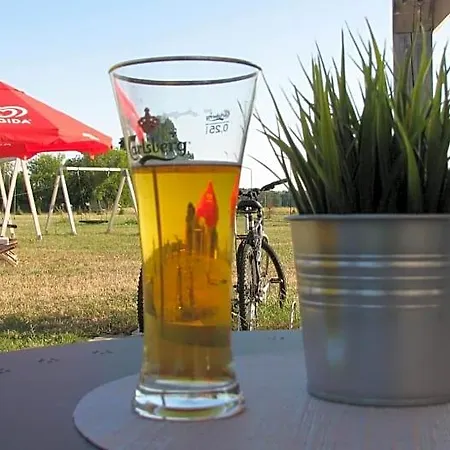 Lodge Strefa Kampinos *