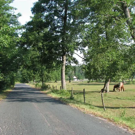 Strefa Kampinos Lodge Brochow
