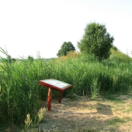 Strefa Kampinos Brochow