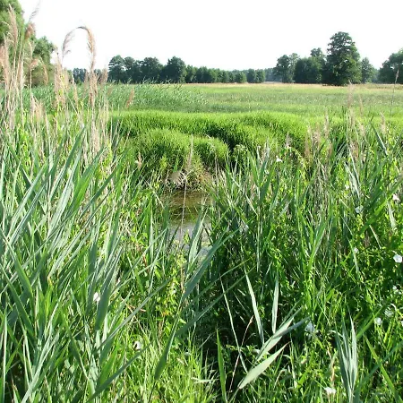 Strefa Kampinos