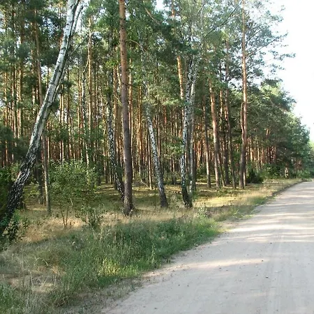 Strefa Kampinos Lodge Brochow