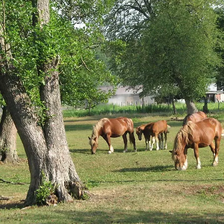 Strefa Kampinos *