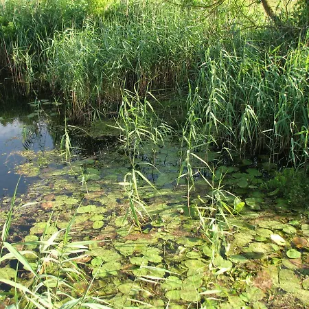 Strefa Kampinos