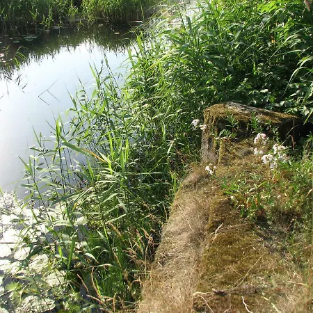 Strefa Kampinos * Brochów