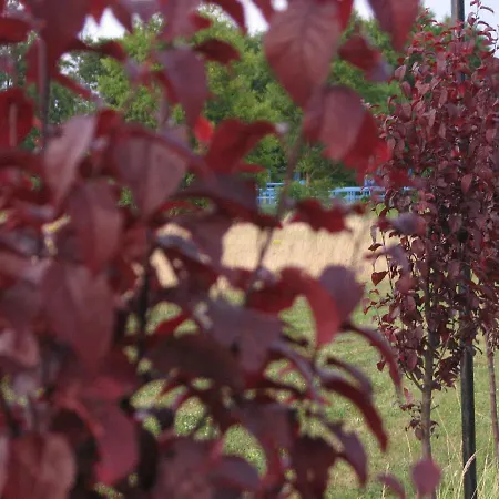 Strefa Kampinos Brochów