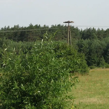 Strefa Kampinos Lodge Brochow