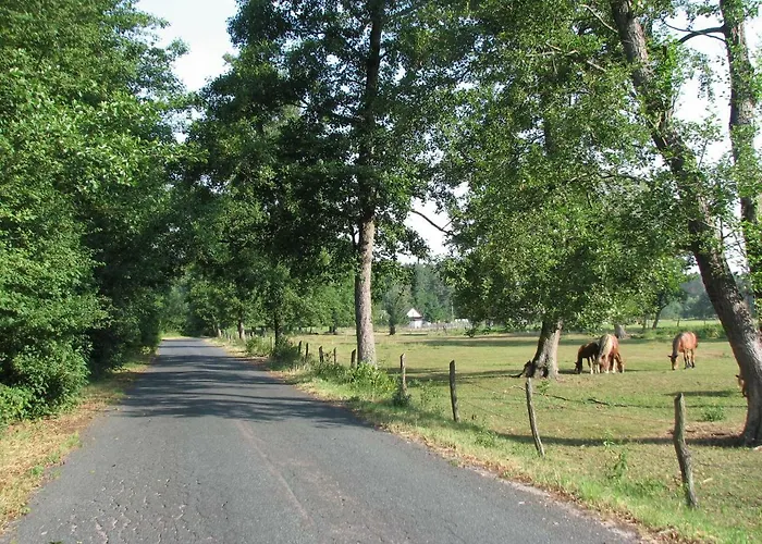 Strefa Kampinos Domek letniskowy Brochów