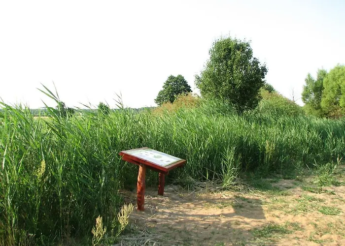 Strefa Kampinos Brochów