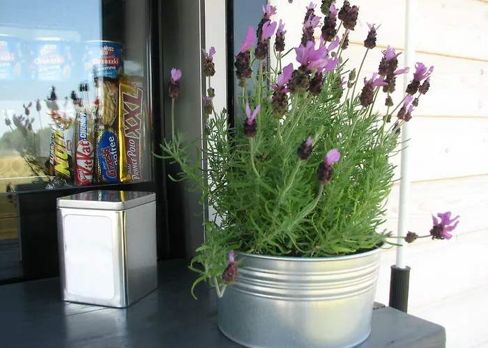 Strefa Kampinos Domek letniskowy