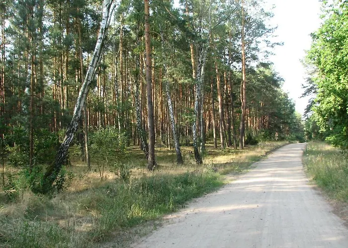 Strefa Kampinos Domek letniskowy Brochów