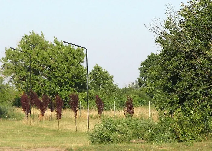 Strefa Kampinos Domek letniskowy