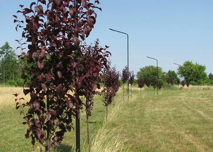 Domek letniskowy Strefa Kampinos *