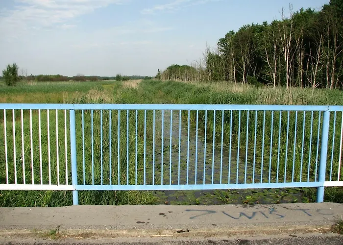 Domek letniskowy Strefa Kampinos