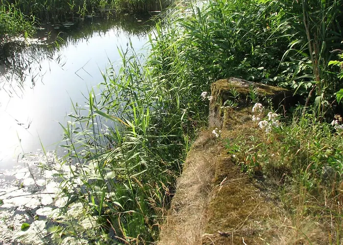 Strefa Kampinos * Brochów