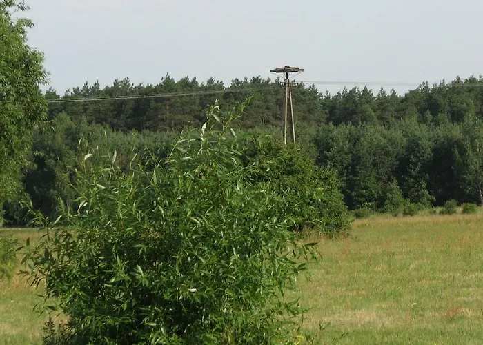 Strefa Kampinos Domek letniskowy Brochów