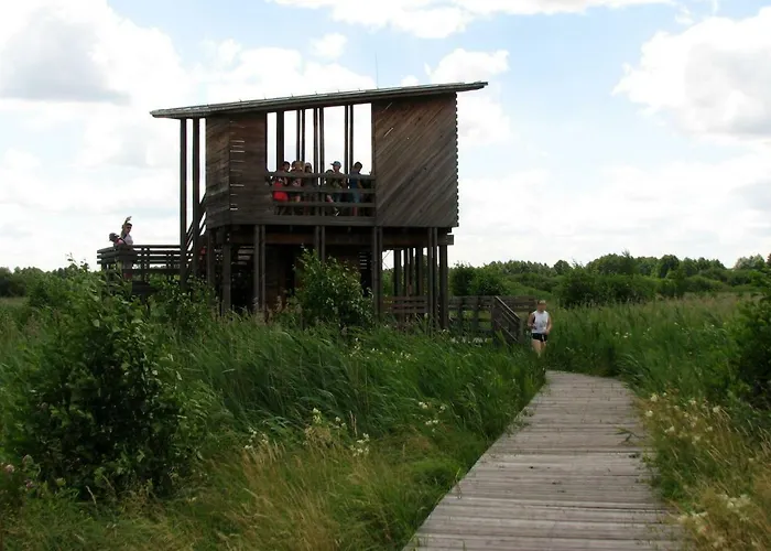 Strefa Kampinos Domek letniskowy *